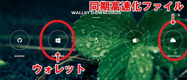 RAINのウォレット解説手順2