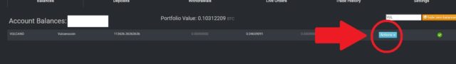 ヴォルケーノコインをウォレットに入れる方法4