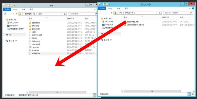 RAINのウォレット解説手順18