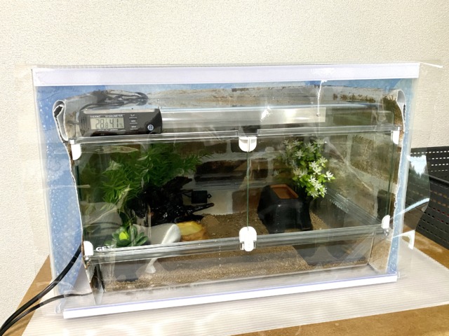 爬虫類用の簡易温室